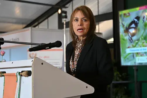 Essential oils sector could unlock jobs and industrialisation, says the dtic