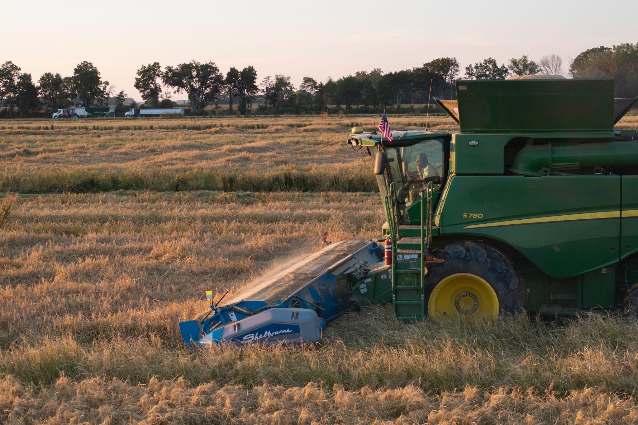 Farmers are embracing AI more than any other tech, McKinsey says